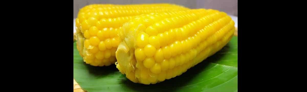 กลิ่นไม่พึงประสงค์ในเบียร์