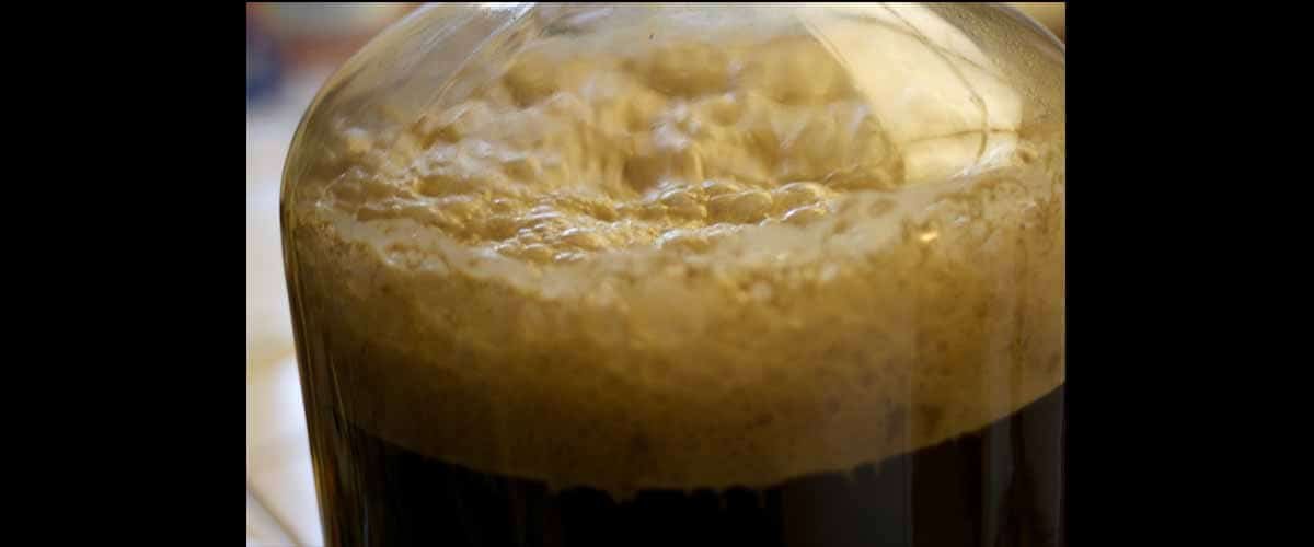 ยีสต์หมักเบียร์ซื้อที่ไหน