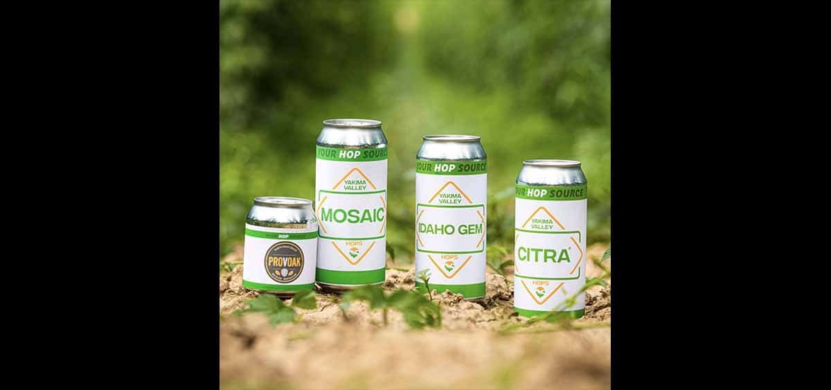 ดอกฮอปส์มีขายที่ไหน