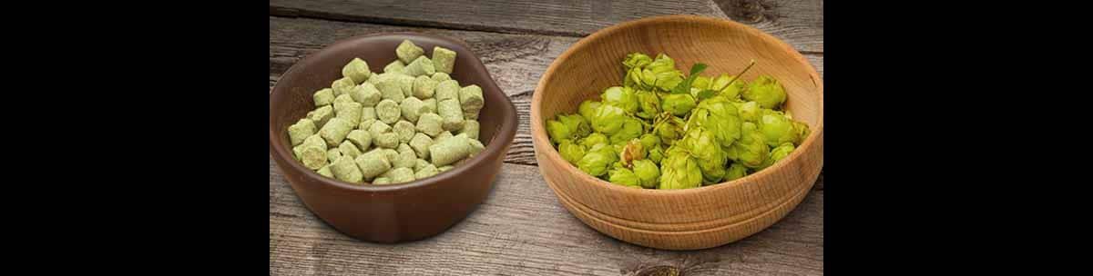 ฮอปส์ โปรไฟล์