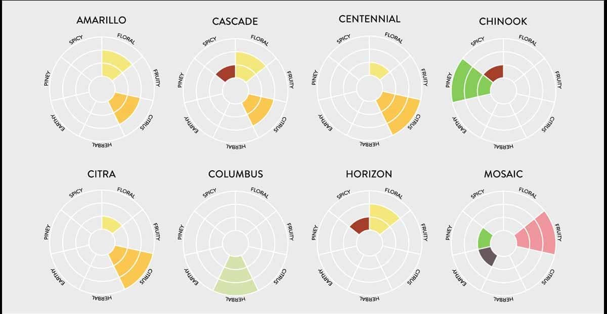 ฮอปส์ โปรไฟล์