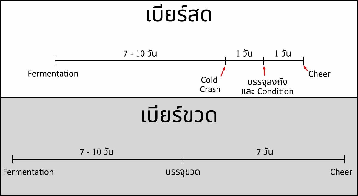สอนทำ คราฟต์เบียร์