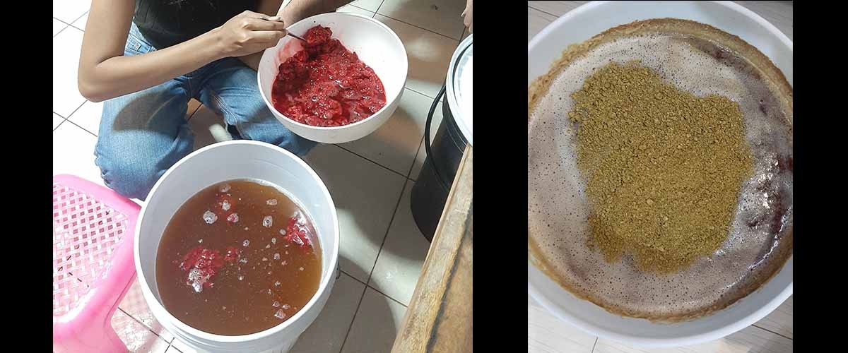 ทำ เบียร์สด