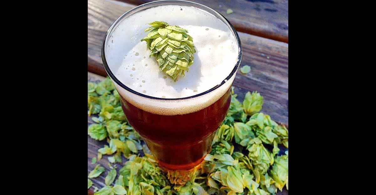 เบียร์ IPA แนะนำ