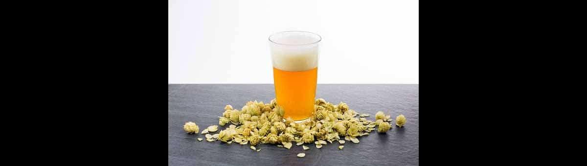 เบียร์ ipa หาซื้อได้ที่ไหน