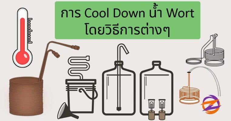 การลดอุณหภูมิ wort