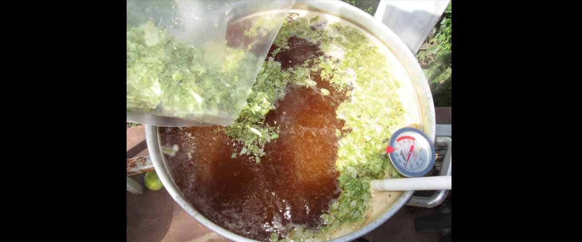 เบียร์ ipa หาซื้อได้ที่ไหน