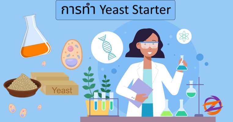 ยีสต์น้ำ